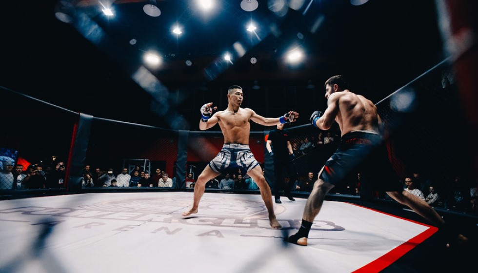 McGregor's Absence from the Octagon in 2024 Confirmed