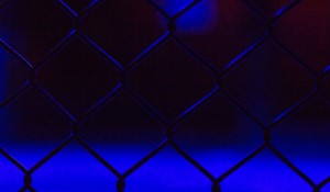 Sergei Spivac Delivers Stunning Victory at UFC Fight Night